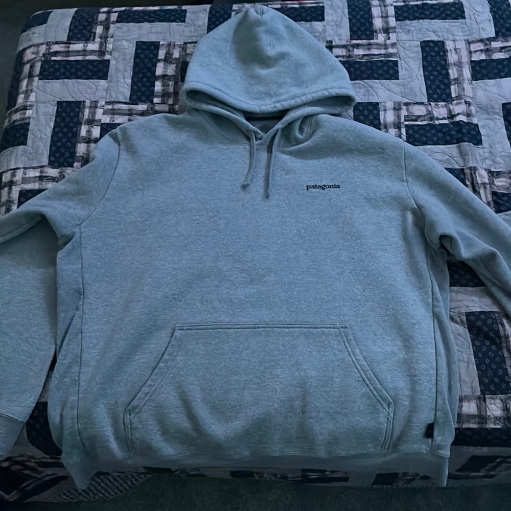 3XL grey Patagonia logo hoodie